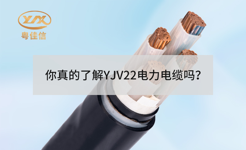 你真的了解YJV22電力電纜嗎？