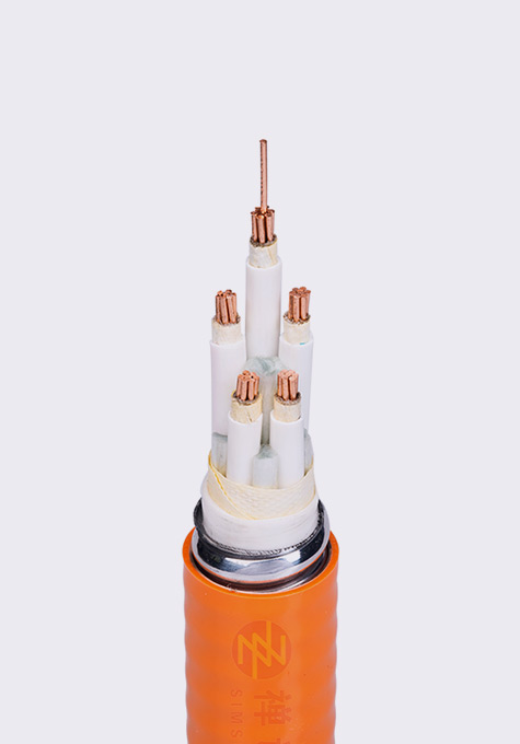 BTLY_礦物質絕緣電纜